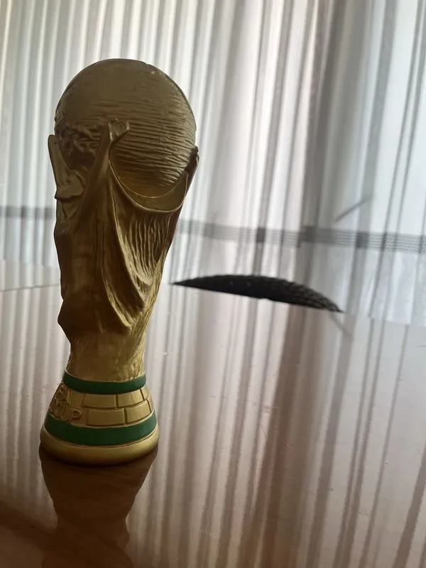 Fifa world cup резиновый для детей 2