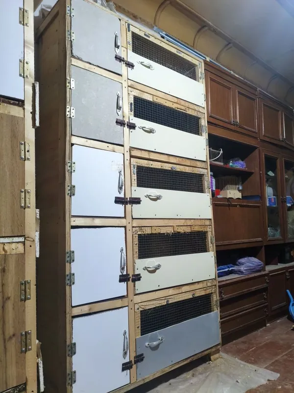Qafas sotiladi etajli quyonlar uchun 2 Qafas sotiladi etajli quyonlar uchun 2