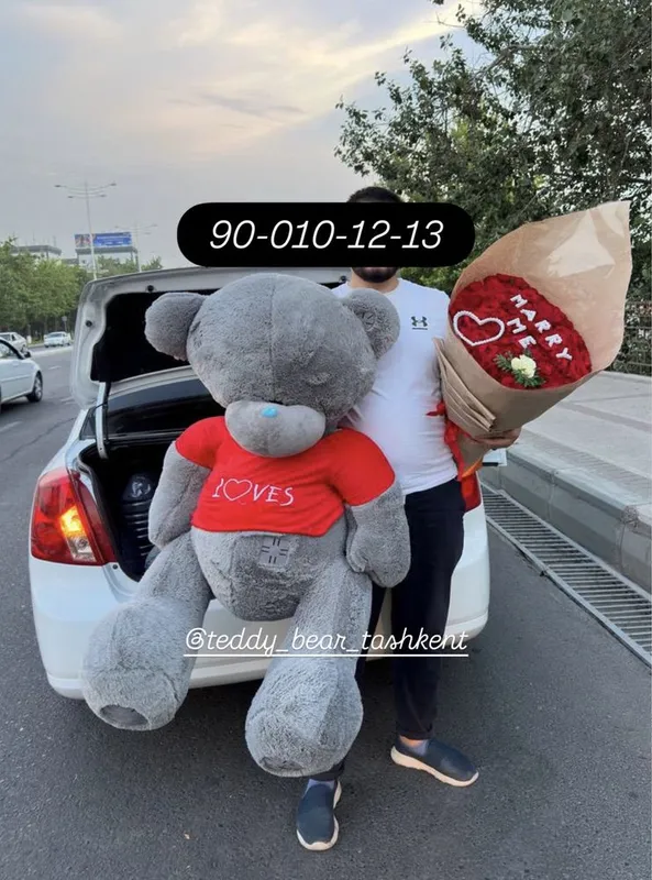 sovga uchun teddy va boshqa yumshoq oyinchoqlar 2 sovga uchun teddy va boshqa yumshoq oyinchoqlar 2