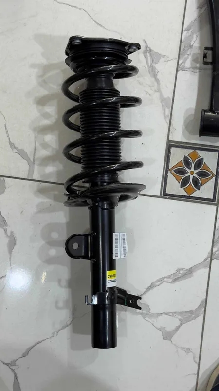 Amartizator Haval M6, Jolion, H6
