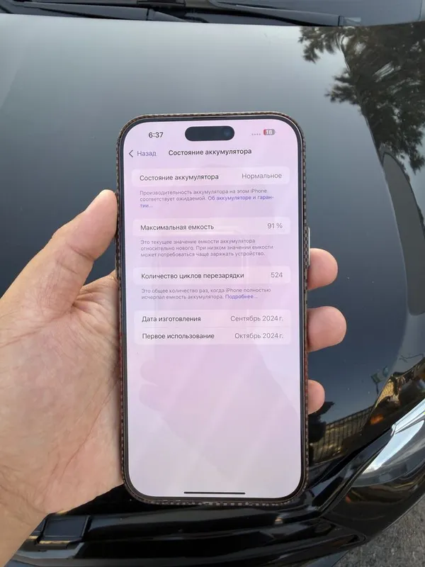 16 pro max 91% 256Gb sbros qbomidi skrit icloud 4 16 pro max 91% 256Gb sbros qbomidi skrit icloud 4