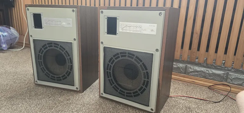 Колонки Маяк 15 АС 223
