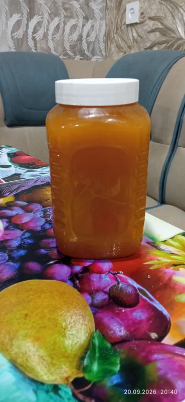 Quyuq tog‘ asali Quyuq tog‘ asali
