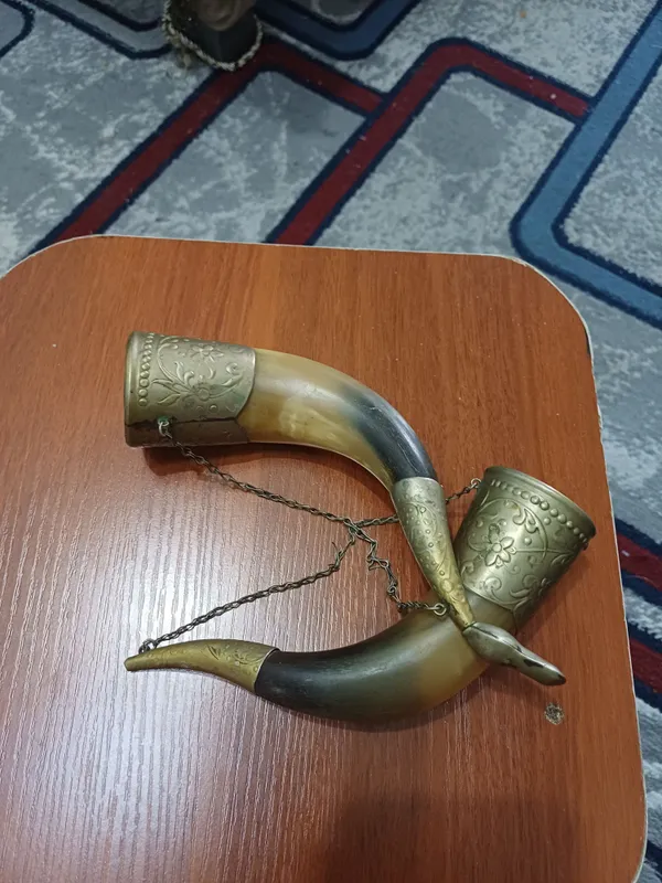 винтажные рога 2