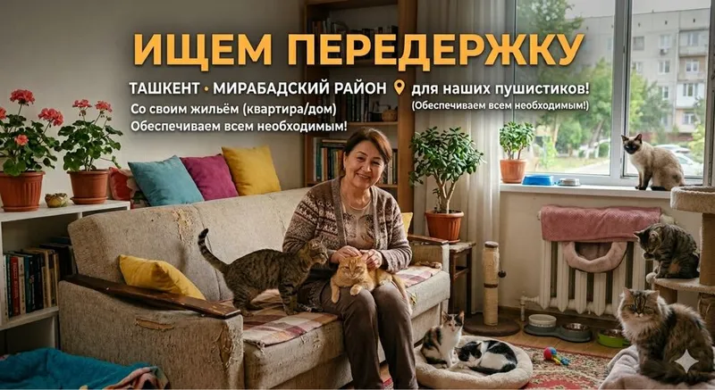 Ищем ответственного человека с добрым сердцем для помощи котятам! Ищем ответственного человека с добрым сердцем для помощи котятам!
