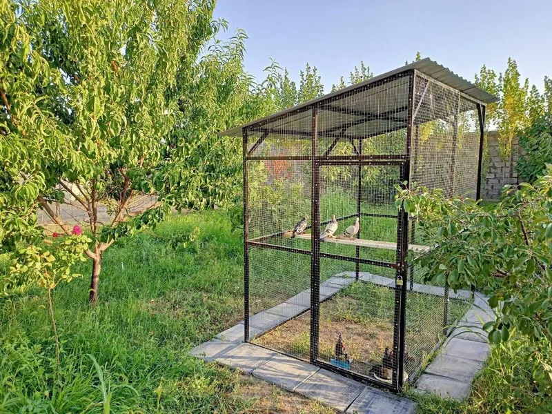 Дача Dacha без посредников только семейным — фото 7