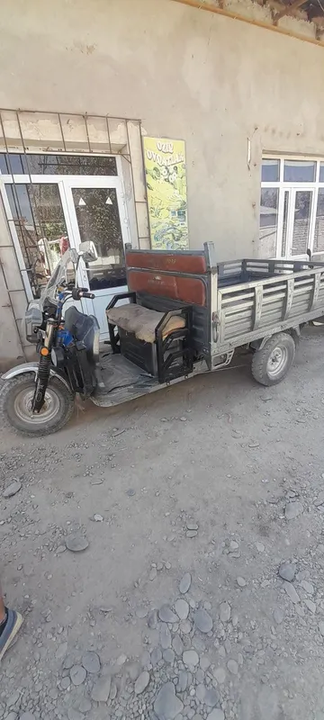 Продается муравей — фото 1