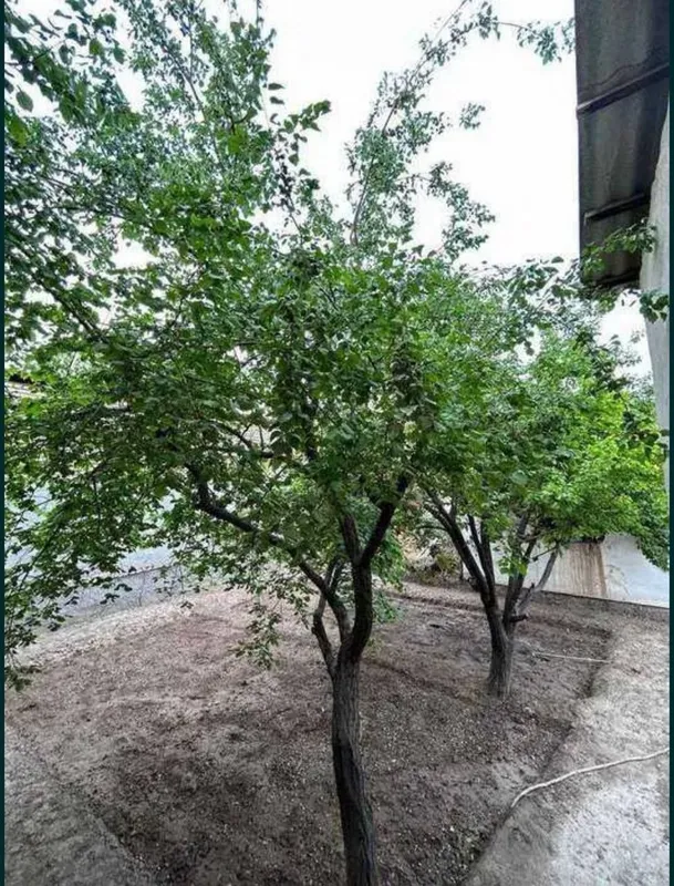 Срочно уй сотилади Водникда — фото 5