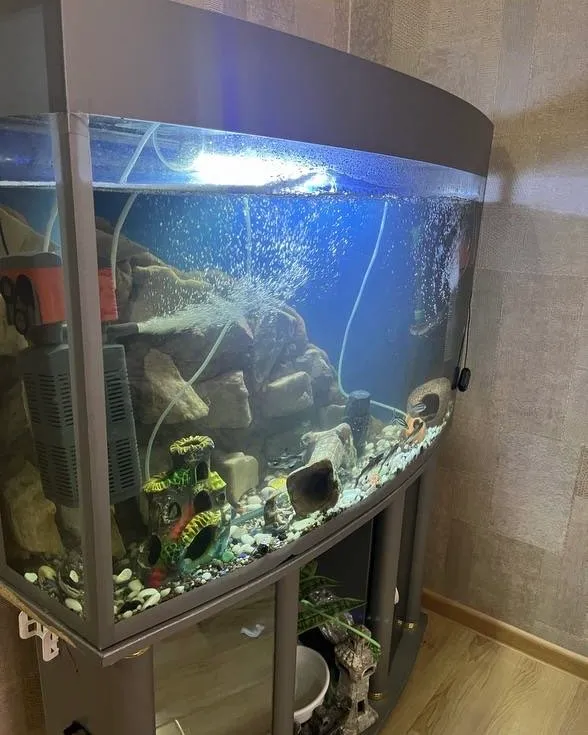 Akvarium 3 Akvarium 3
