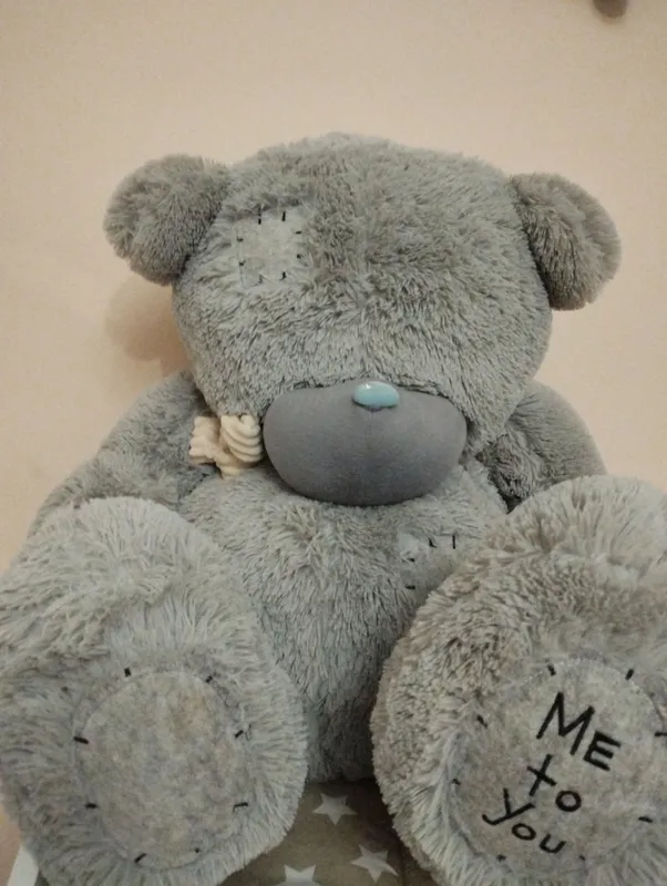 Teddiy ayiq 400 ming