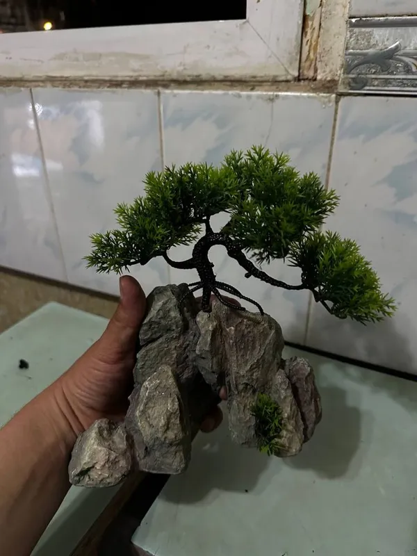 Akvarium,hitoy akvarium,arzon akvarium,