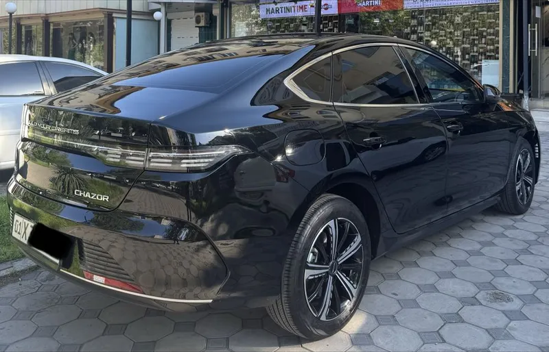 Byd Chazor full 2023/25 ARENDA — фото 2