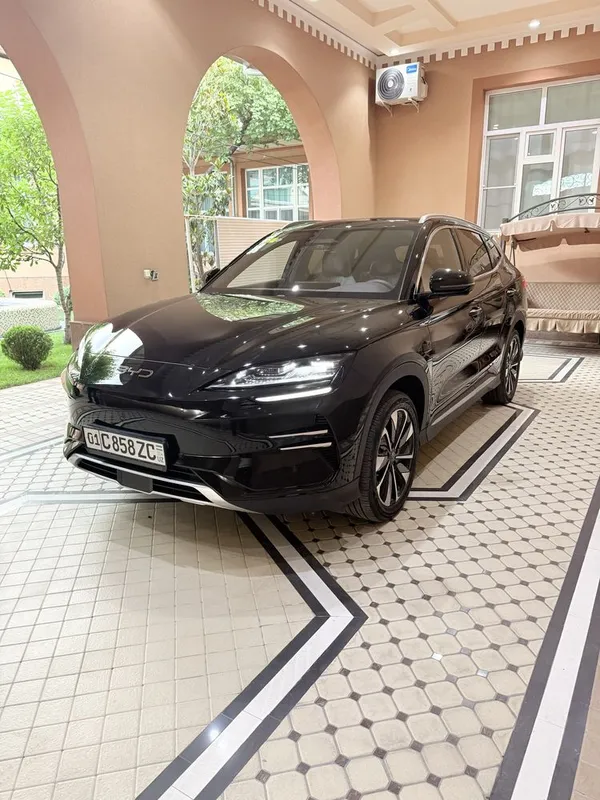 Byd Champion SMART