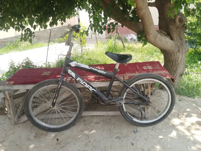 velosiped