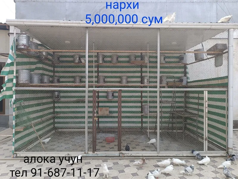 Кафас Кабутар ва парранда бокиш учун мулжалланган — фото 1