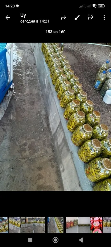 Bodring 40000 uyda tayyorlangan 1 Bodring 40000 uyda tayyorlangan 1