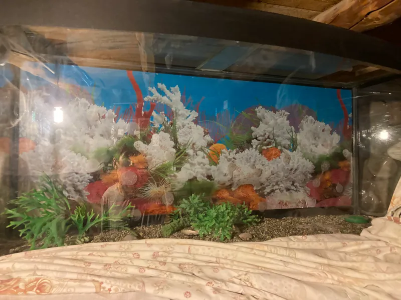 Аквариум + со шкафом 2