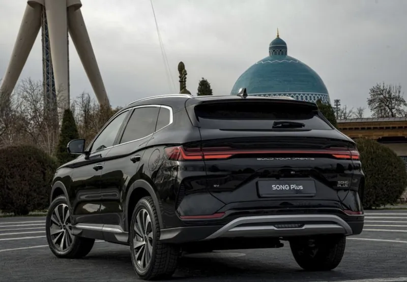 Заказ на любой торжество BYD Champion — фото 1