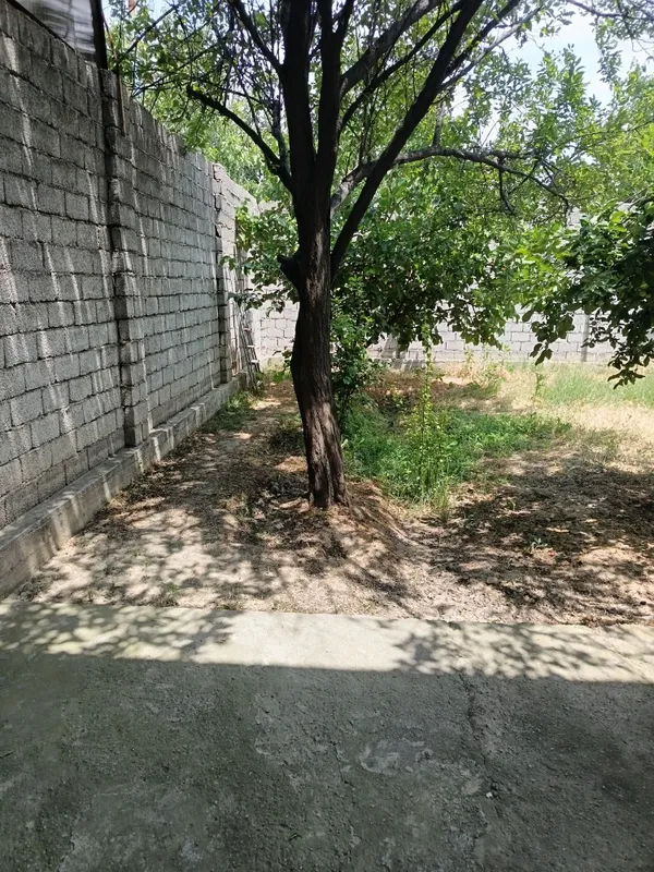 Юусобод туман Хасанбой Масжид куча 1 сотих 2 хона — фото 3