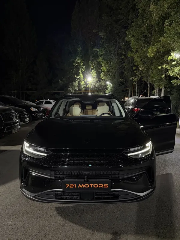 Leapmotor C11 гибрид 1 200 км, Full, 2024 год 2 Leapmotor C11 гибрид 1 200 км, Full, 2024 год 2