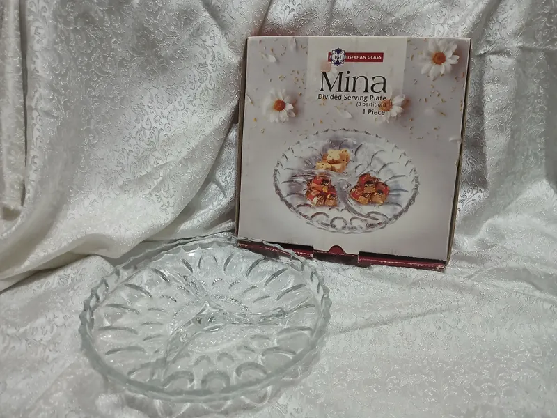 Quritilgan mevalar uchun tarelkalar 2