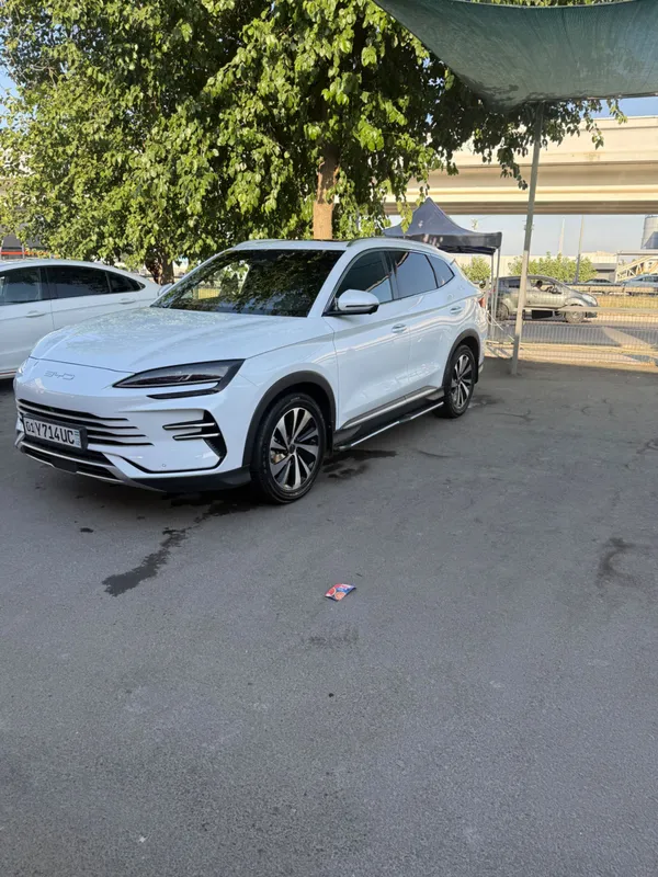 BYD chempion 110 2 BYD chempion 110 2