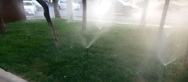 Gazon ekamiz daraxt kuzaymiz 1