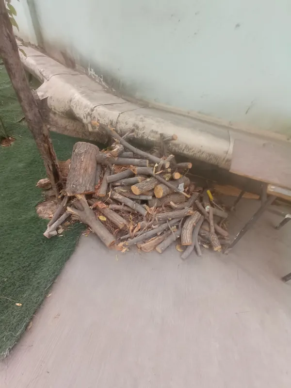 Вывоз угля 3
