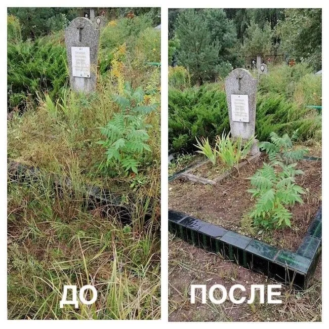 Уборка/Очистка могил г. Ташкент — фото 2