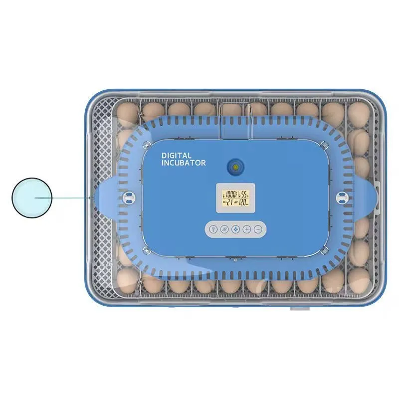 Инкубатор 70 талик 2 Инкубатор 70 талик 2