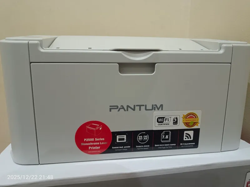 Pantum P250W