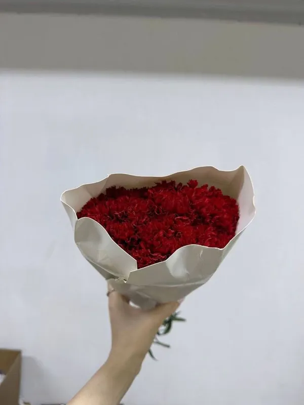 Гвоздика в наличии — фото 4