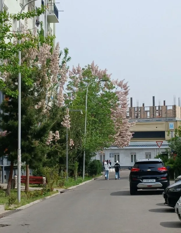 Arenda kvartira Sergeli 2-bekat (O'zgarish bekati) — фото 7