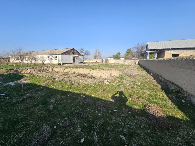 Zarbdor eski bustonda arzonga yer sotiladi — фото 2