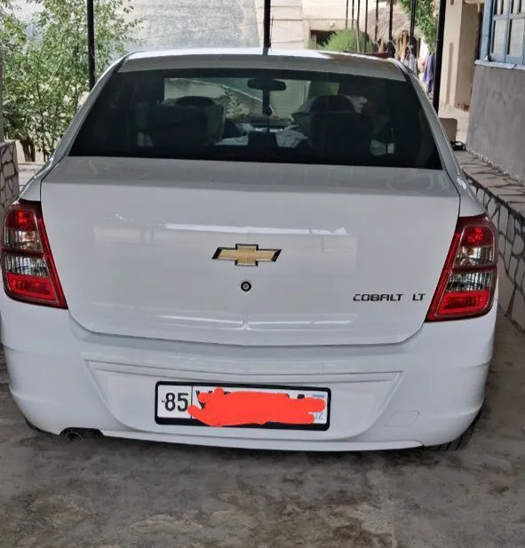 COBALT LT (Mexanika) 2024 2 COBALT LT (Mexanika) 2024 2