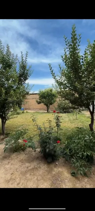 6 sotih yer sotiladi 2 6 sotih yer sotiladi 2
