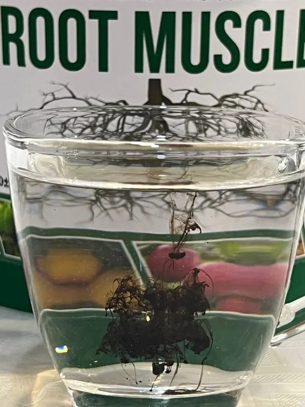 Хумик Фулвик илдиз кучайтирувчи ўғит | Root Muscle | Хосилни оширади — фото 1