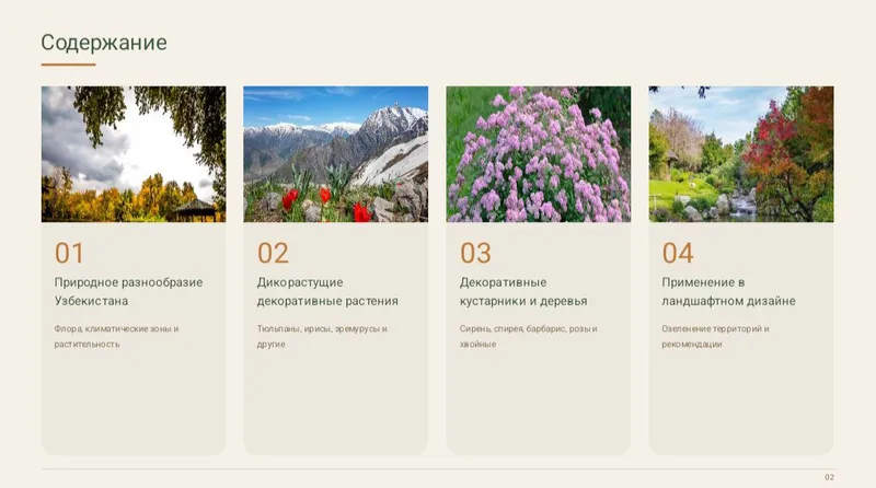 《Презентация》canva, PowerPoint word, pdf сделаю — фото 9 《Презентация》canva, PowerPoint word, pdf сделаю — фото 9