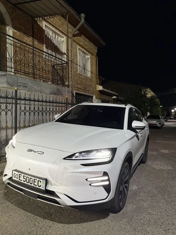 BYD Champion ev605
