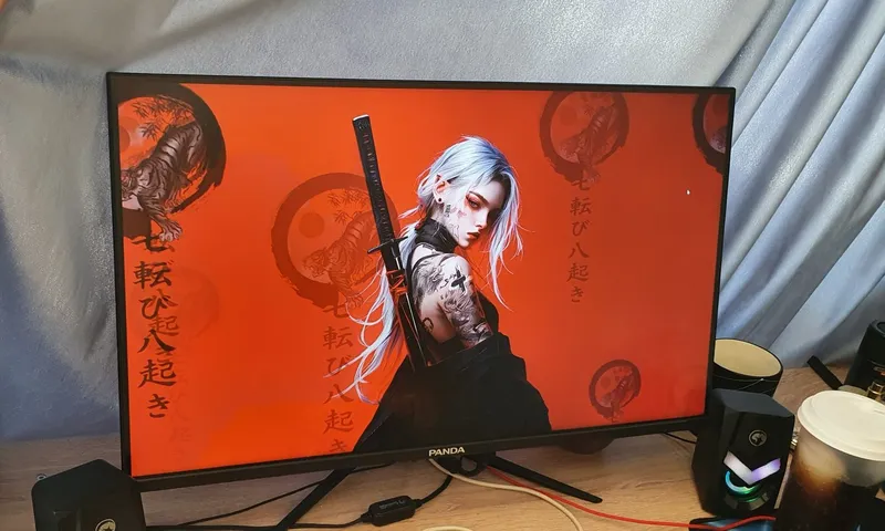 Monitor 27 165ghz 1