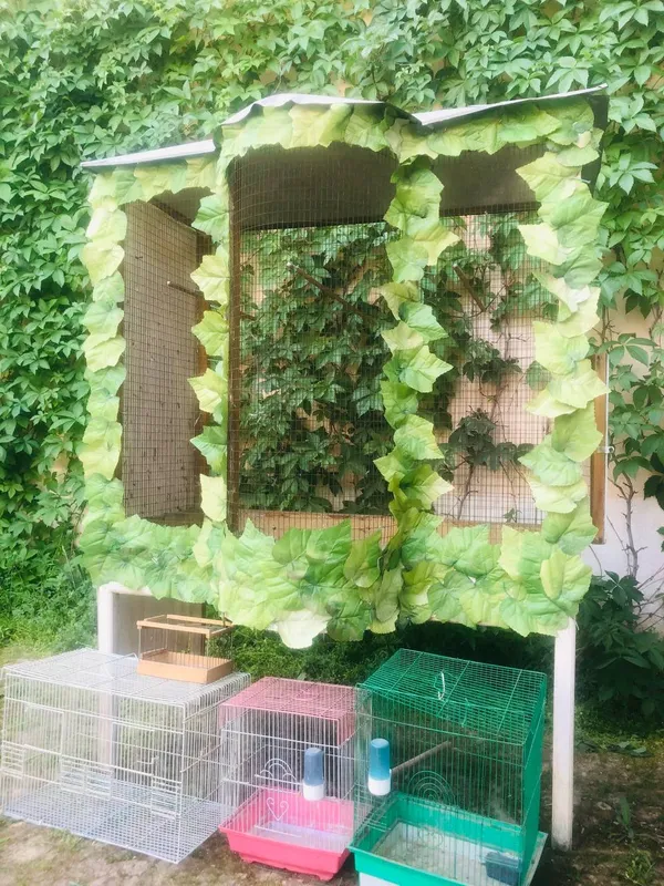 Kletka qavas qushlar uchun in uya uy — фото 2