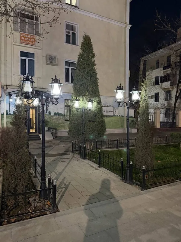 Шота Руставели Аския | 270кв - нежилое помещение вдоль дороги Продажа — фото 3