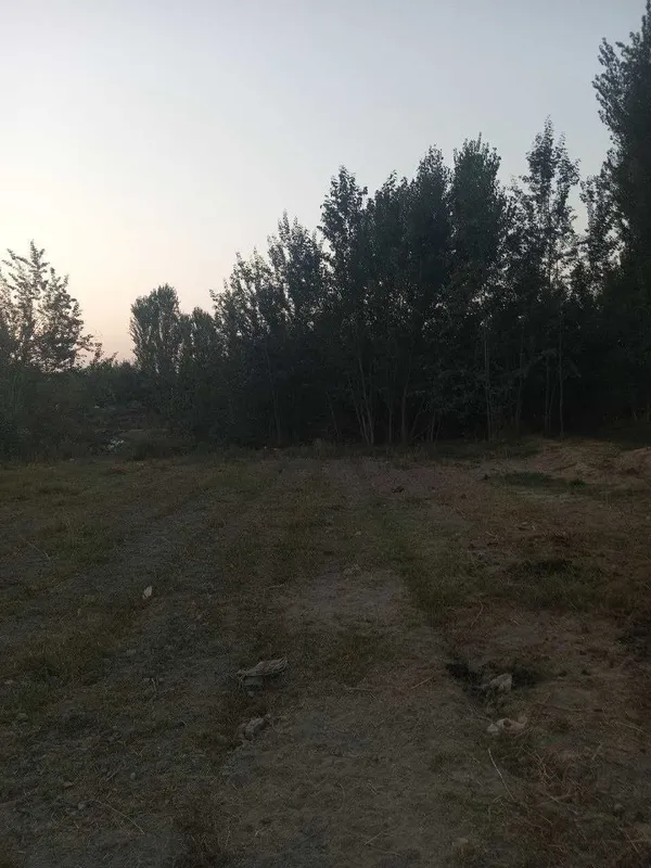 Участка сотилади — фото 1