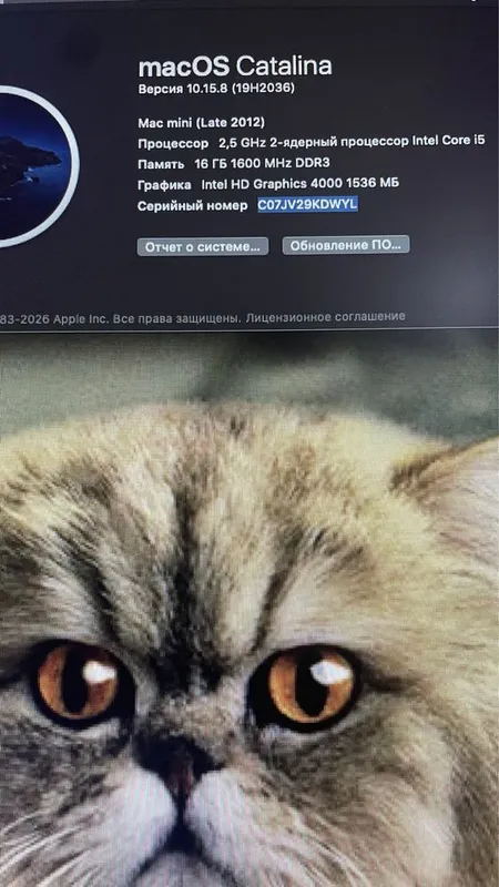 Mac mini (конец 2012 года) Core i5 — фото 3