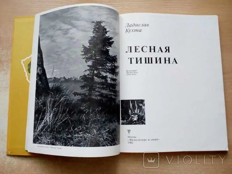 Книга: Ладислав Кухта «Лесная тишина»