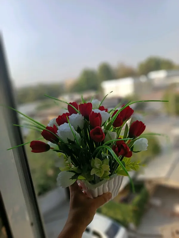 Лола Гули 3