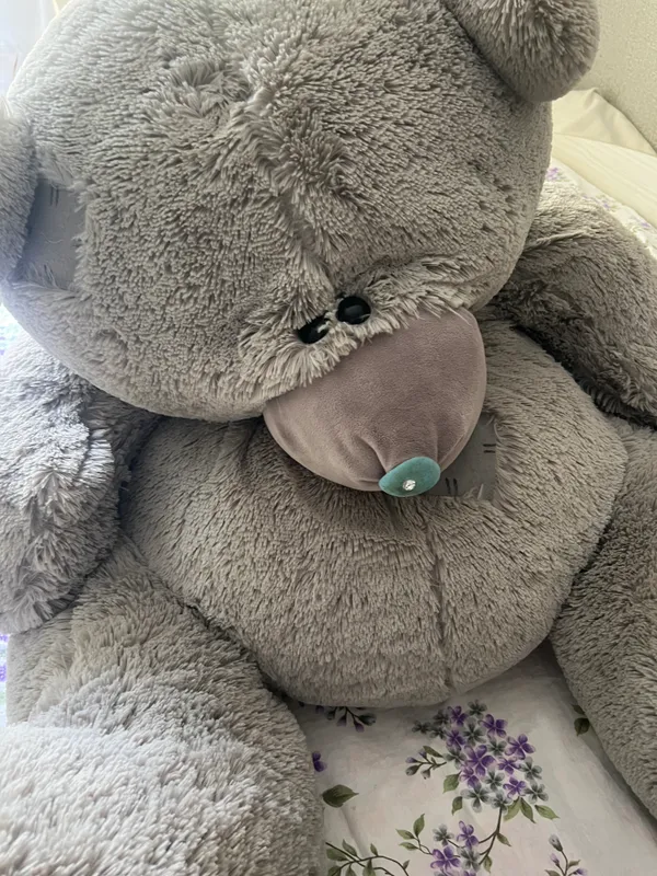 Teddy ayiq 1