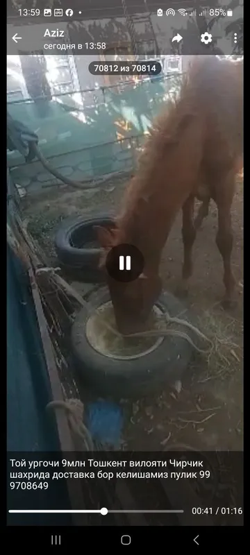 Той ургочи сотилади 2