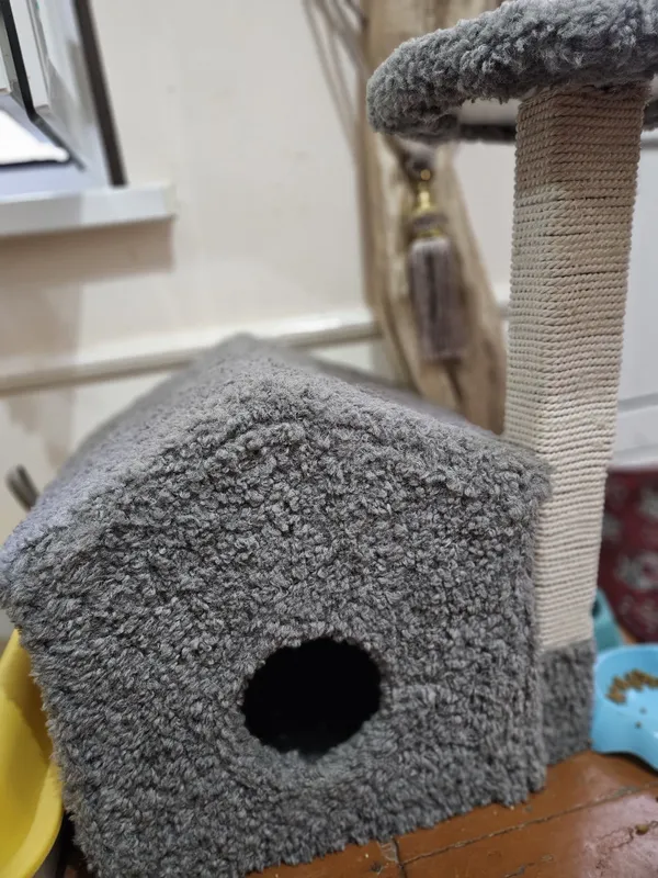 Домик для котята