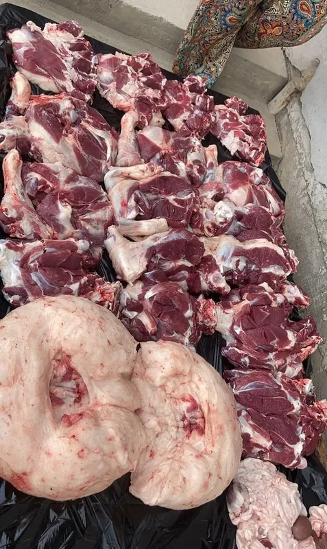Продаются овцы и бараны 6